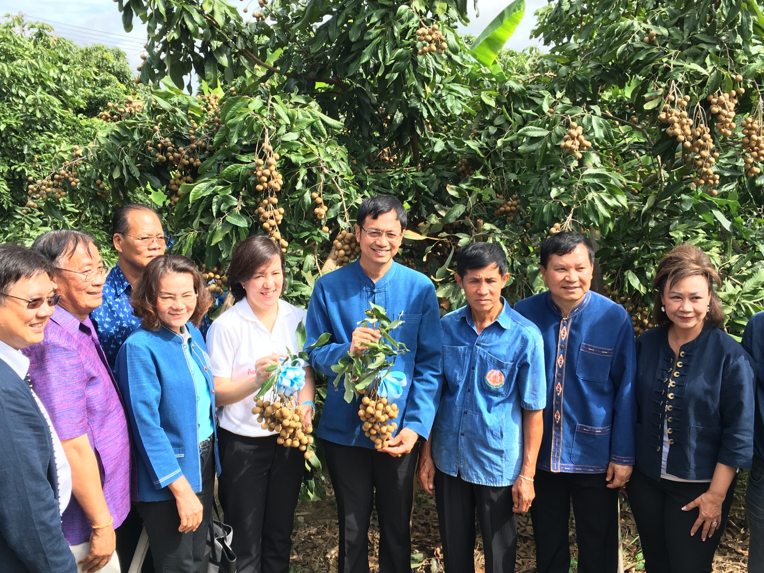 &ldquo;บริษัท ประชารัฐรักสามัคคีเชียงใหม่ จำกัด&rdquo; จับมือภาครัฐ &ndash; เอกชน &ndash; ประชาสังคม ผลักดัน &ldquo;ลำไย วิสาหกิจชุมชนกลุ่มแปลงใหญ่ ตำบลขัวมุง&rdquo; กว่า 100 ตัน ส่งตรงจากสวนสู่ซูเปอร์มาร์เก็ตอันดับ 1