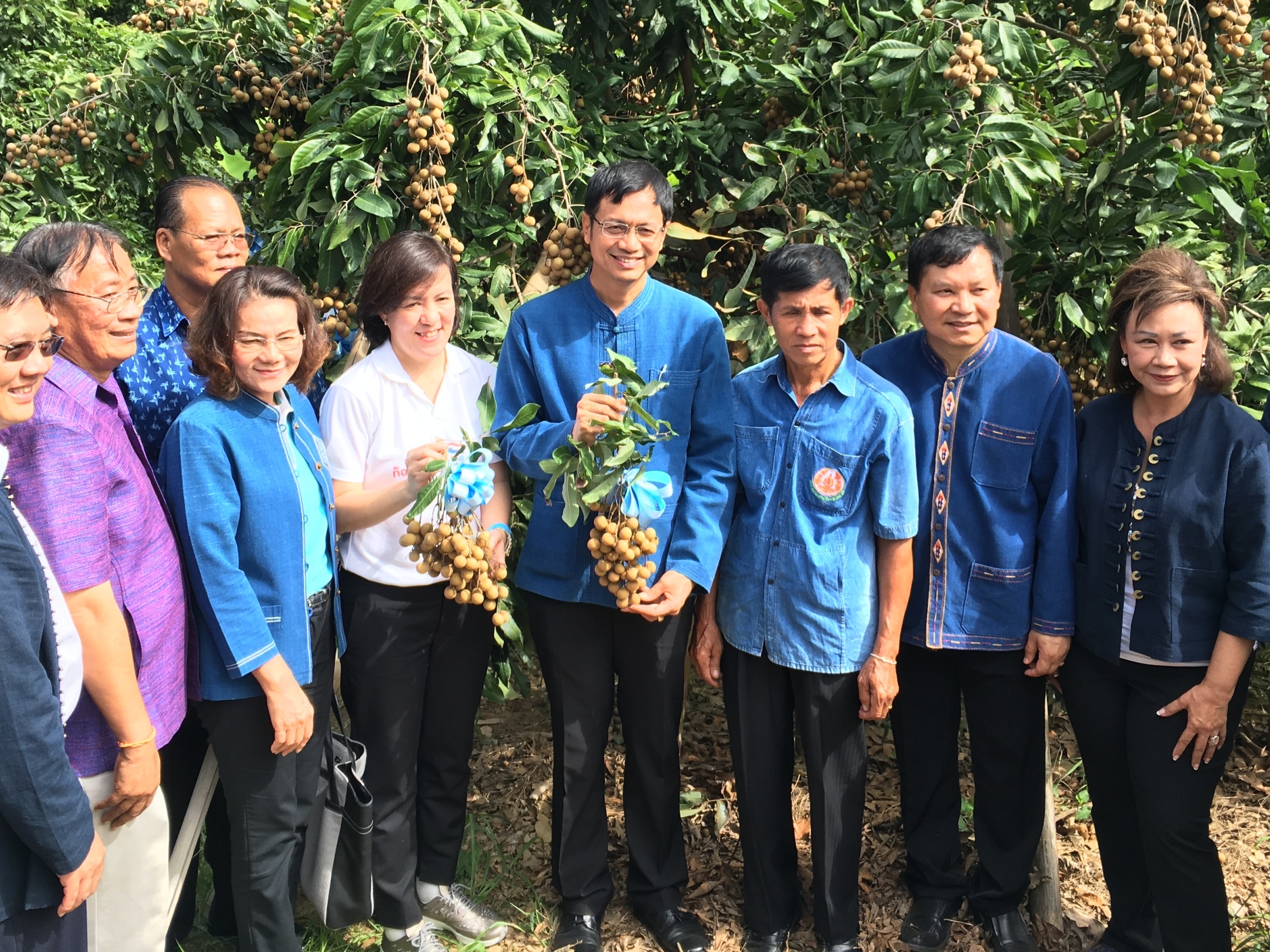 &ldquo;บริษัท ประชารัฐรักสามัคคีเชียงใหม่ จำกัด&rdquo; จับมือภาครัฐ &ndash; เอกชน &ndash; ประชาสังคม ผลักดัน &ldquo;ลำไย วิสาหกิจชุมชนกลุ่มแปลงใหญ่ ตำบลขัวมุง&rdquo; กว่า 100 ตัน ส่งตรงจากสวนสู่ซูเปอร์มาร์เก็ตอันดับ 1