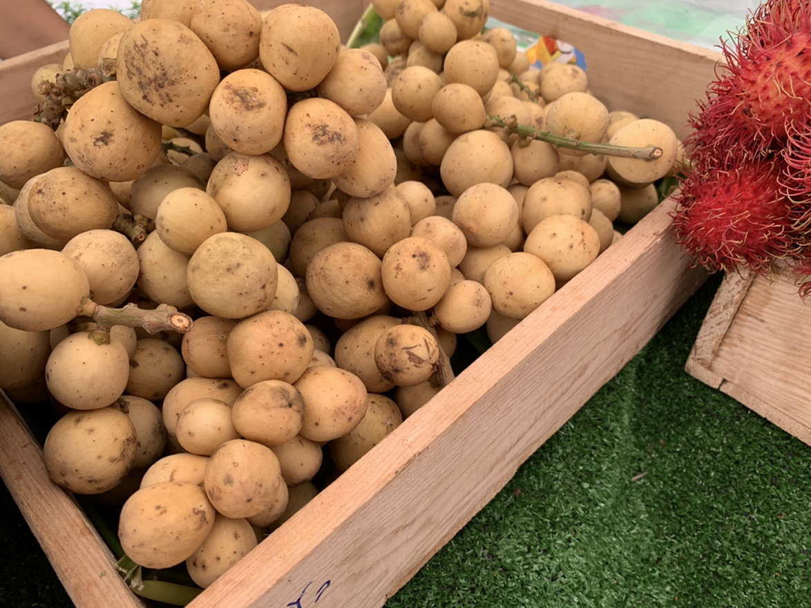 3 จังหวัด เข้าร่วมออกบูธ ที่งานอาคเนย์ Green Mart